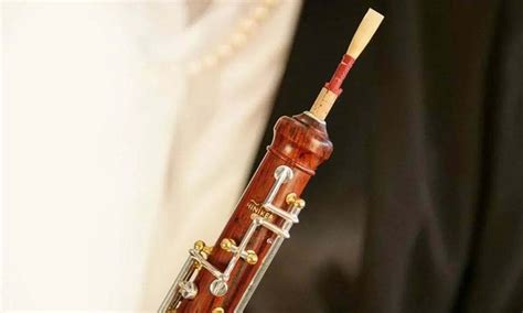 reed tube|12 Types Of Double Reed Musical Instruments .